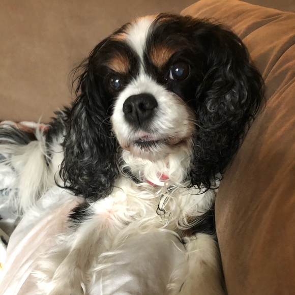 Meet your Posher, π³οΈβπ Lu - Picture 10 of 11